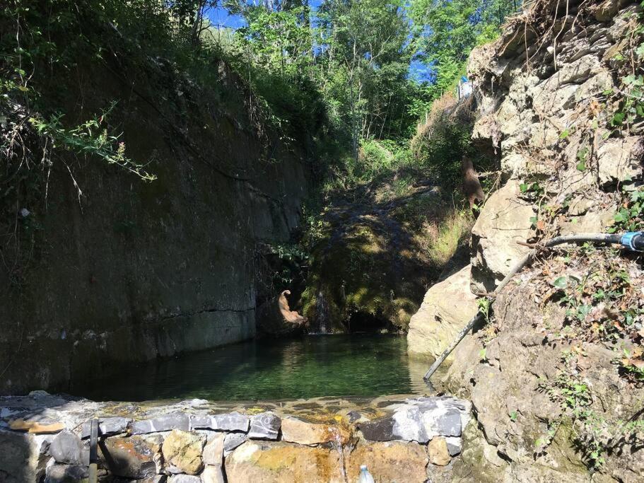 Sette - Villino Lorenzo Villa Viani Kültér fotó