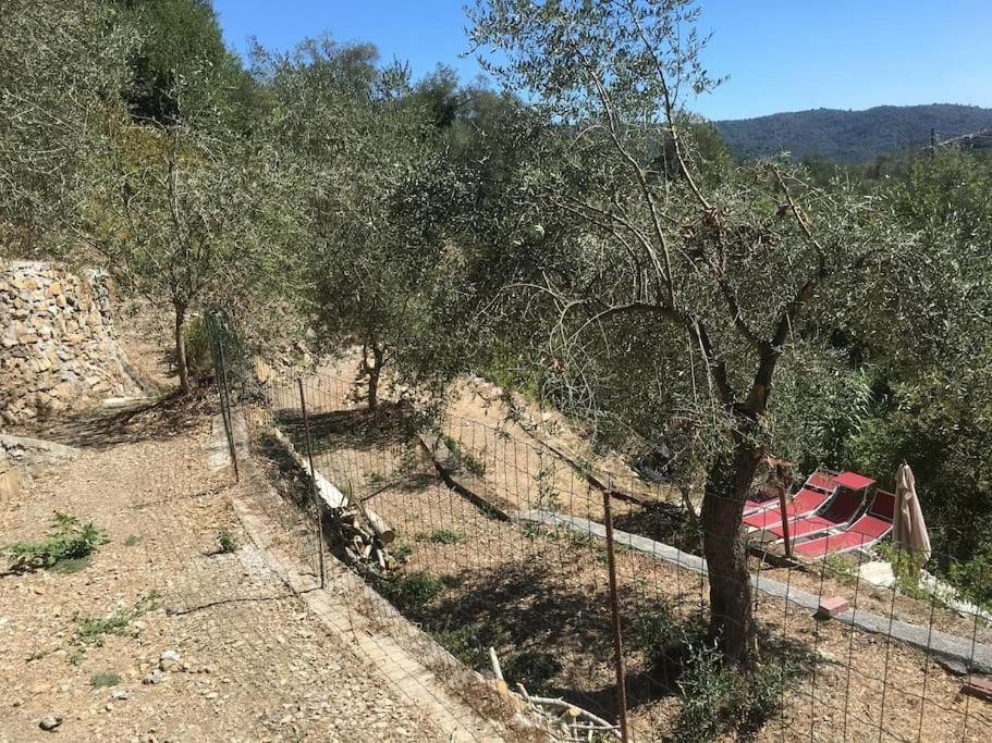 Sette - Villino Lorenzo Villa Viani Kültér fotó